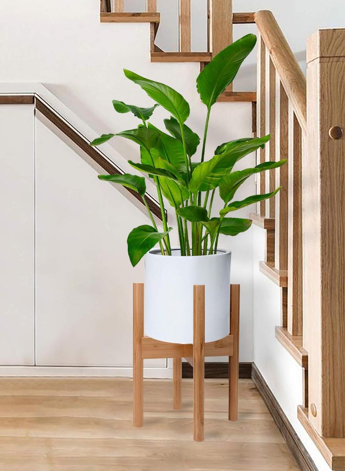 new style modern indoor eco-friendly indoor decoration corner greenhouse wooden plant flower pot display stand wood shelf