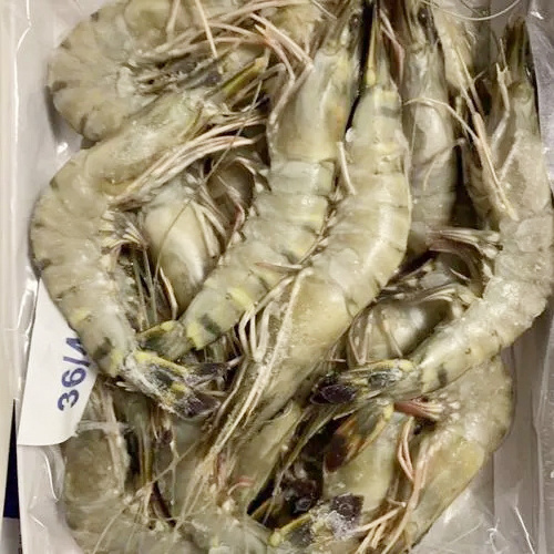 Wholesale Frozen Raw Black Tiger Shrimp Prawn Sea Food Shrimps