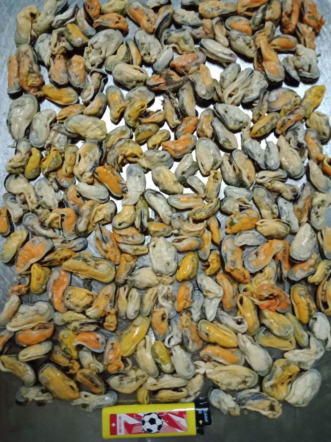 Frozen Green Mussel Meat Indonesian Without Shell