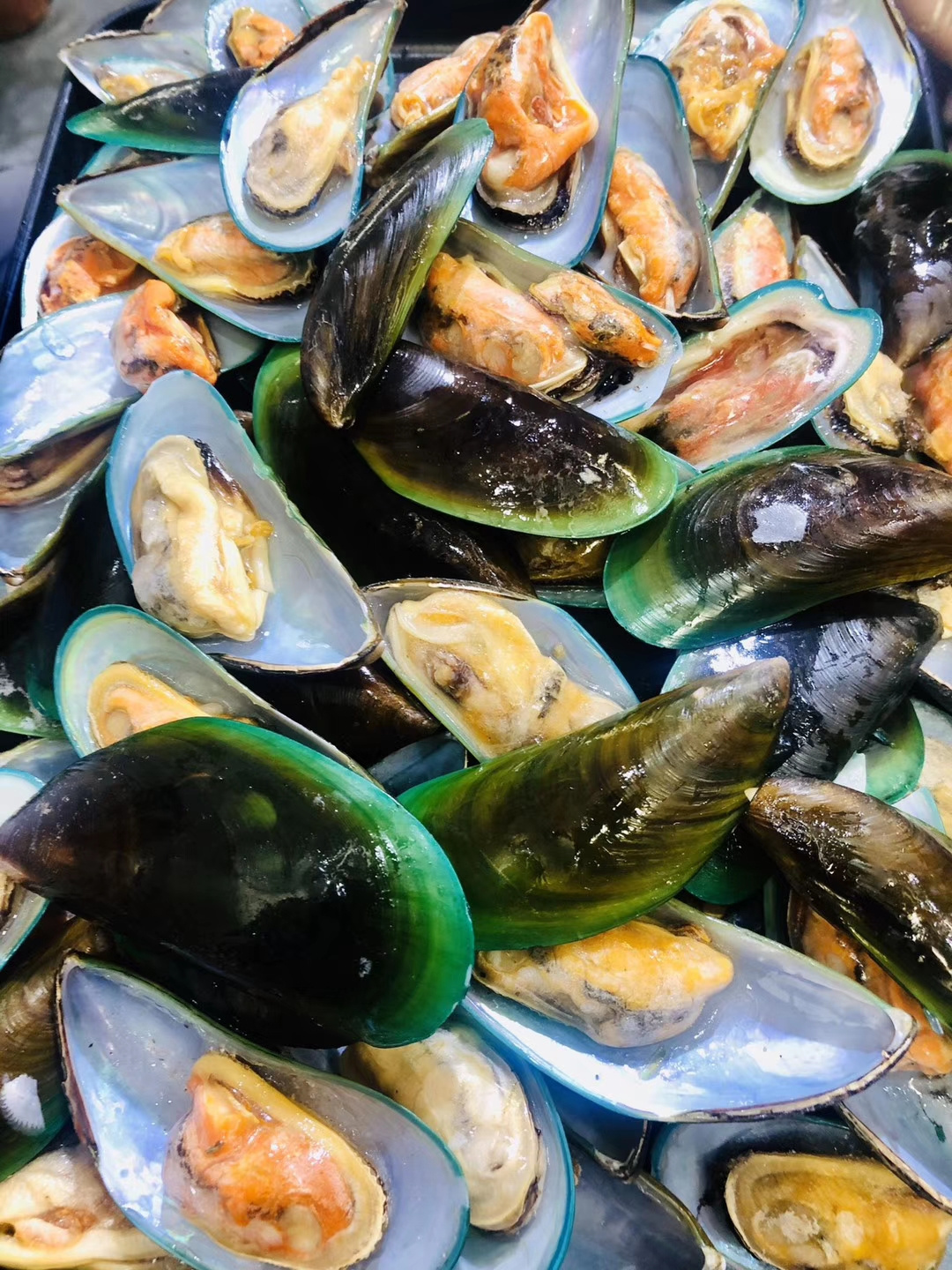 Frozen Green Mussel Meat Indonesian Without Shell