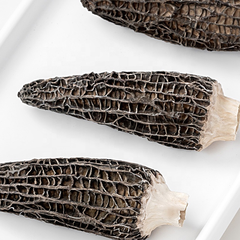 Factory Price Dry Morel Cultivate Fresh Morel Mushrooms