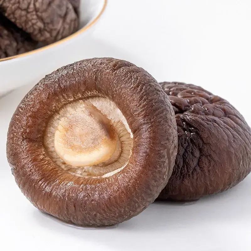 Organic Dried Shiitake Mushroom Dried Food High Quality Shiitake Mushroom Wholesale Price