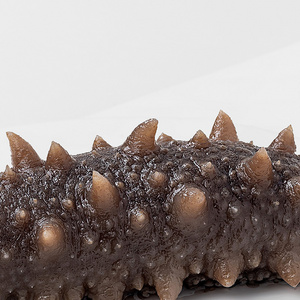 Cheap Price Dried Dry Sea Cucumber