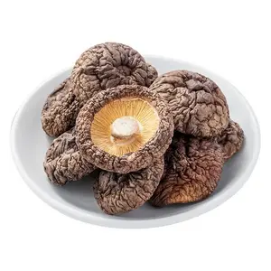 High Nutrition Factory Price  Dried Shiitake Mushrooms