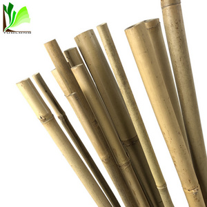 High Quality Cheap Dry Natural Straight Raw Green Garden Tonkin Bamboo Poles/Canes/Stakes/Stick for Sale