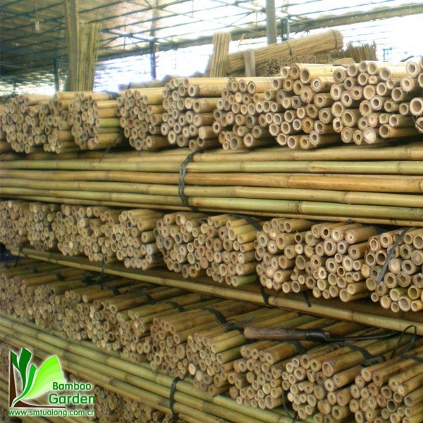 High Quality Cheap Dry Natural Straight Raw Green Garden Tonkin Bamboo Poles/Canes/Stakes/Stick for Sale