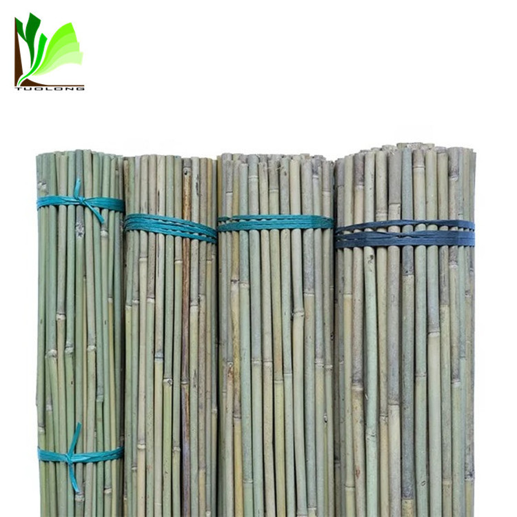 High Quality Cheap Dry Natural Straight Raw Green Garden Tonkin Bamboo Poles/Canes/Stakes/Stick for Sale