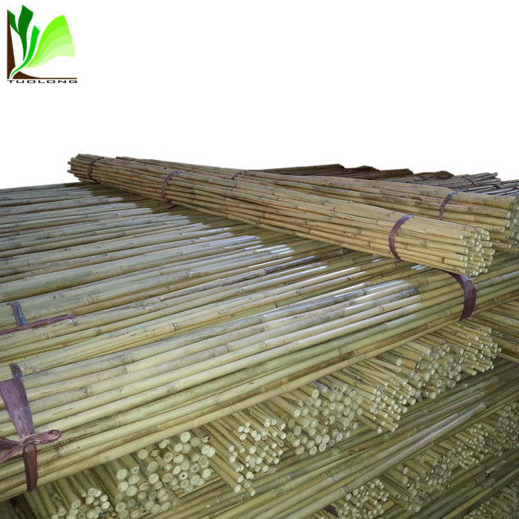 High Quality Cheap Dry Natural Straight Raw Green Garden Tonkin Bamboo Poles/Canes/Stakes/Stick for Sale