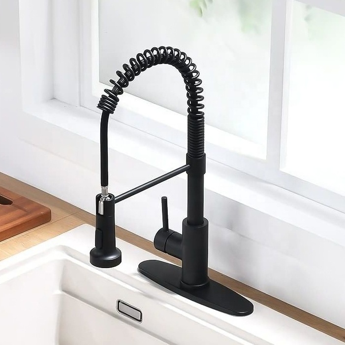 Spring brass tuscany double-handle kitchen faucet with pull down sprayer kitchen sink faucet sprayer