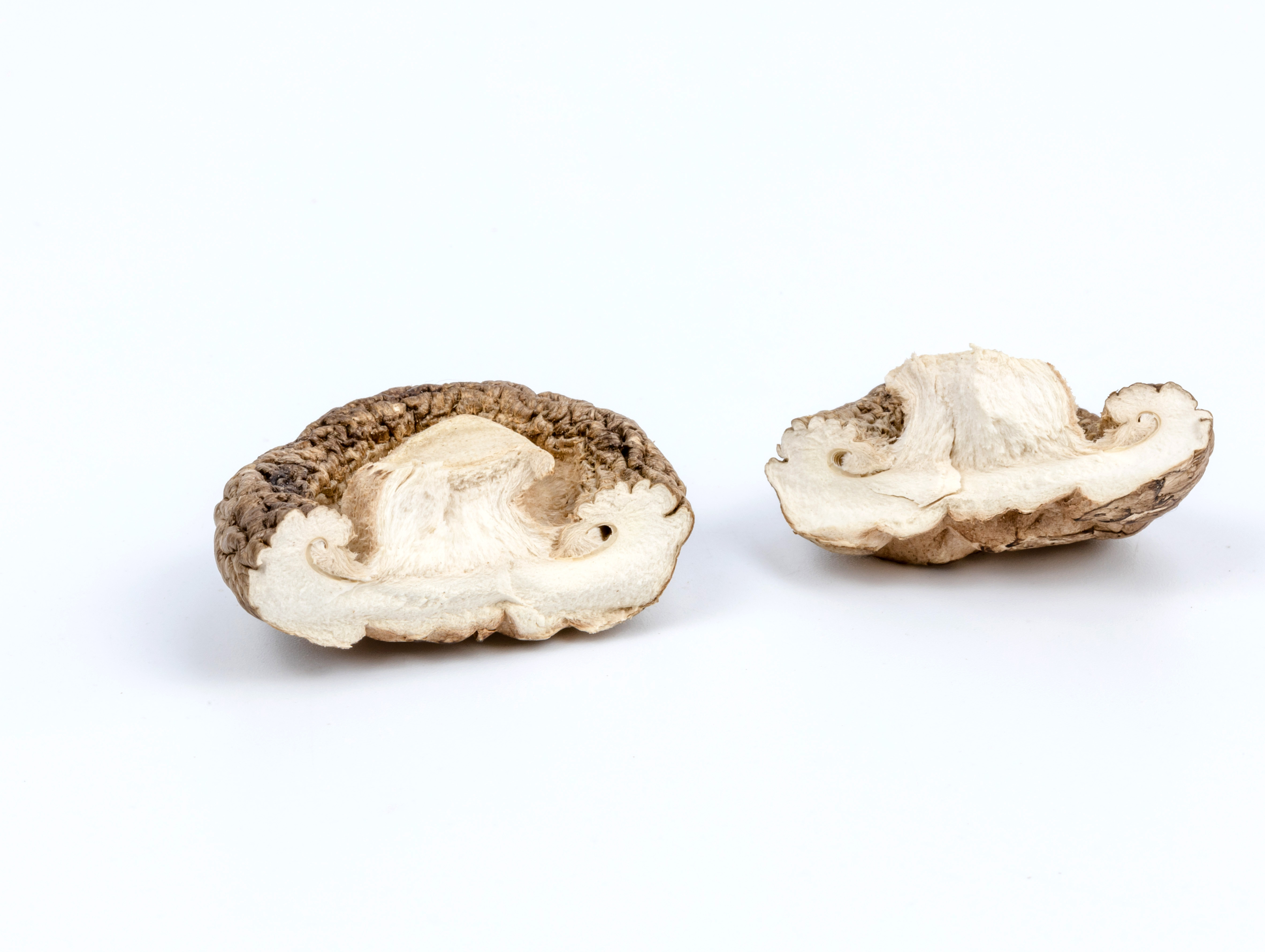 Mushroom Food Dehydrated Shiitake Mushroom Dried Shiitake Mushroom