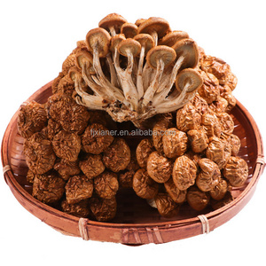 wholesale Bulk Price Whole Morchella Dried Pholiota Slider Nameko Mushroom