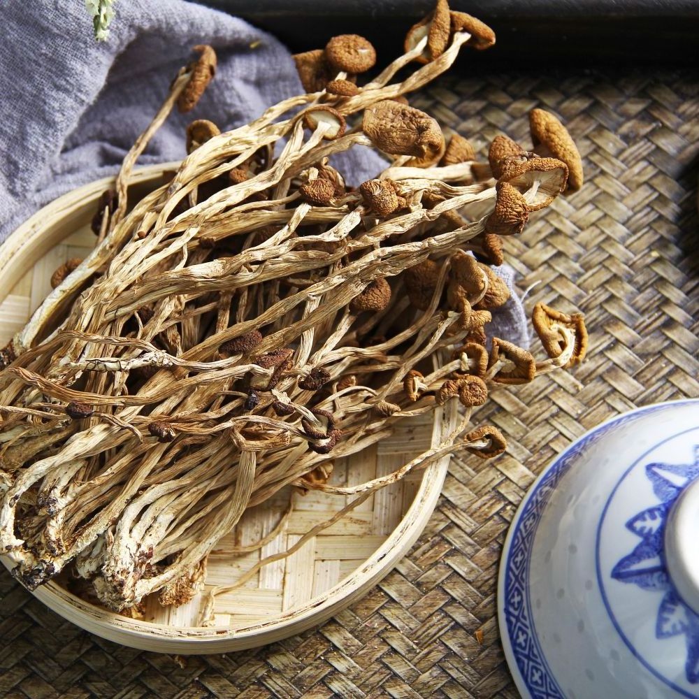 Factory Wholesale Dried Agrocybe aegerita Dried Mushroom For Eating Dried Tea Tree Mushroom