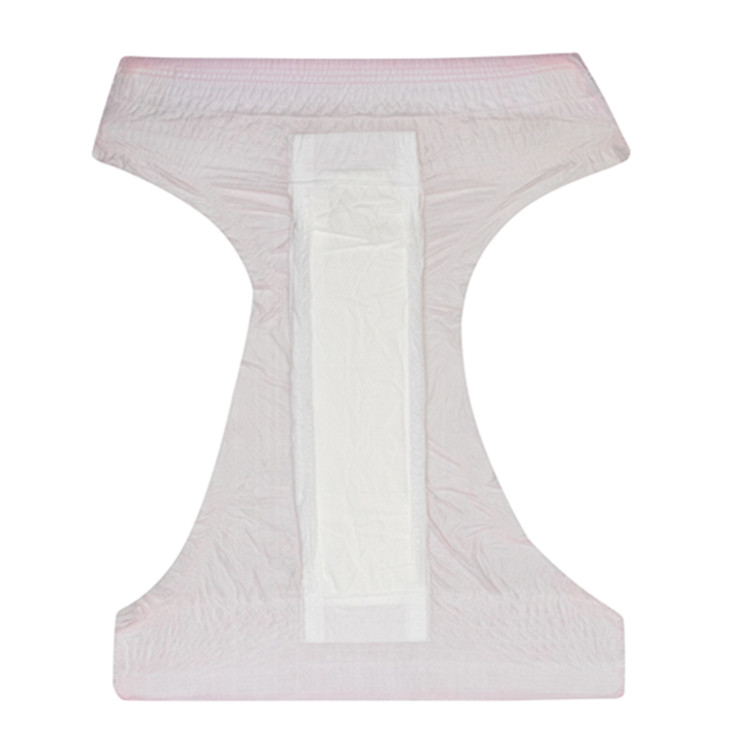 Leak Proof Sanitary Pants Pad Cheap Price Panties Women Sexy Pants Disposable Comfortable Womens Lady Menstrual Panty Diaper