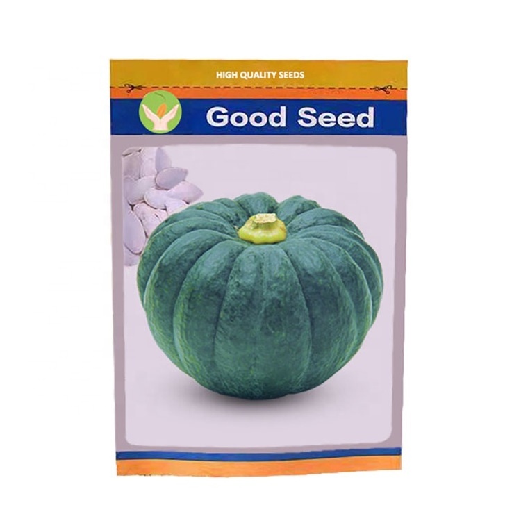 Custom Printed Horticultural Seeds packaging bags Vegetable Flower Corn Lettuce Seeds Laminated Packaging Bag 3 Side Sealing Bag