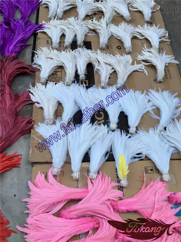 Wholesale Dyed Coque Tails Feather Long Feathers Rooster Feathers For Sale