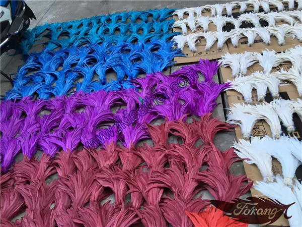 Wholesale Dyed Coque Tails Feather Long Feathers Rooster Feathers For Sale