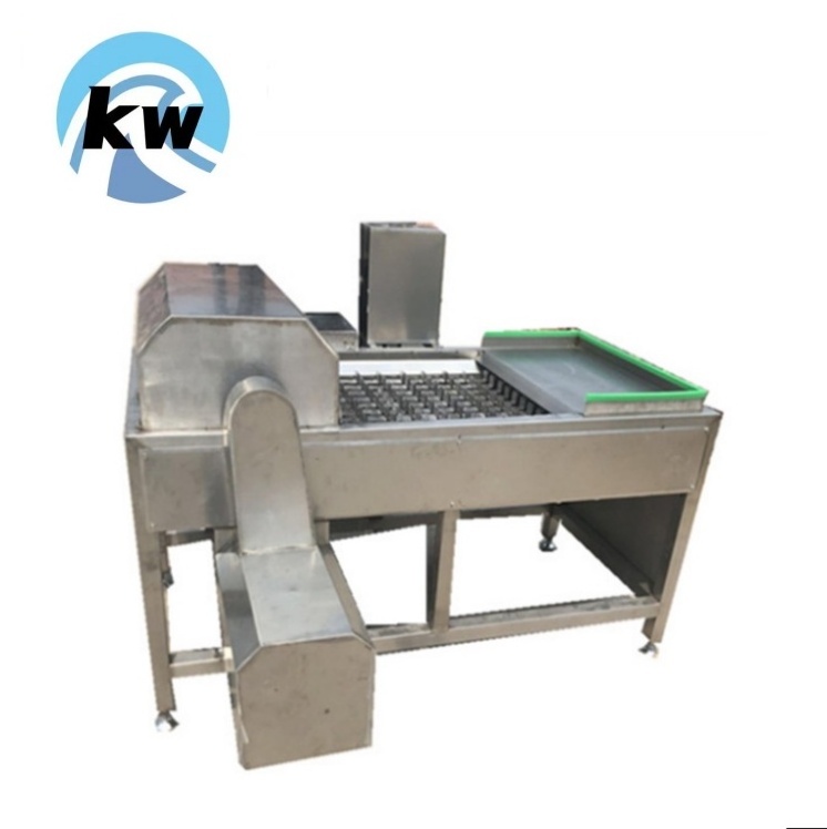 Automatic Large-scale Smoked Salmon Slicer Machine Fish Fillet Machine Beef Cutter with CE