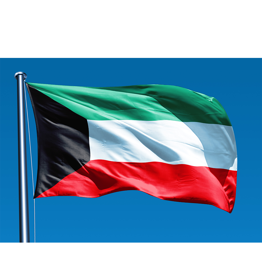 Custom 100% Polyester National Flags All Countries Kuwait Flag