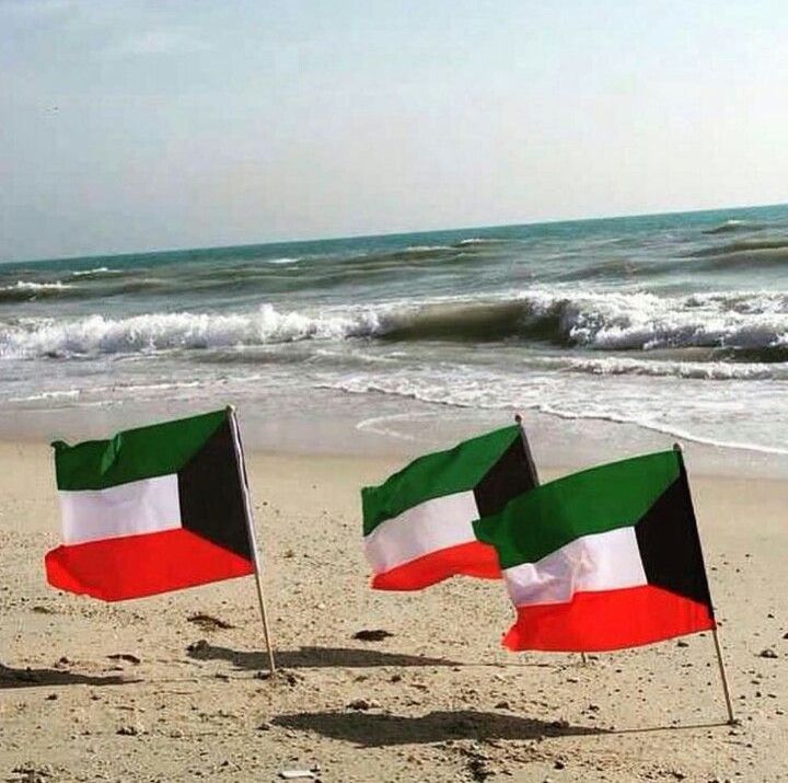 Custom 100% Polyester National Flags All Countries Kuwait Flag