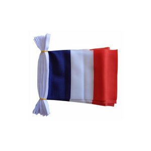 Wholesale Advertising Polyester France World Country Flags Bunting fabric strings bunting flags custom