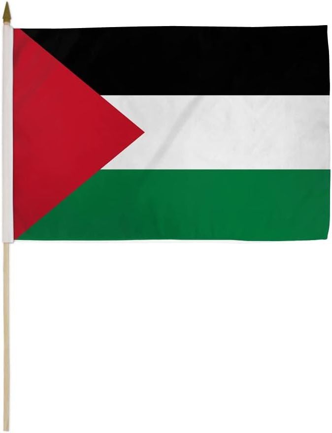 In-stock Hand Held Mini Palestine Stick Palestinian National Country flag for International Festival Events Party Decorations