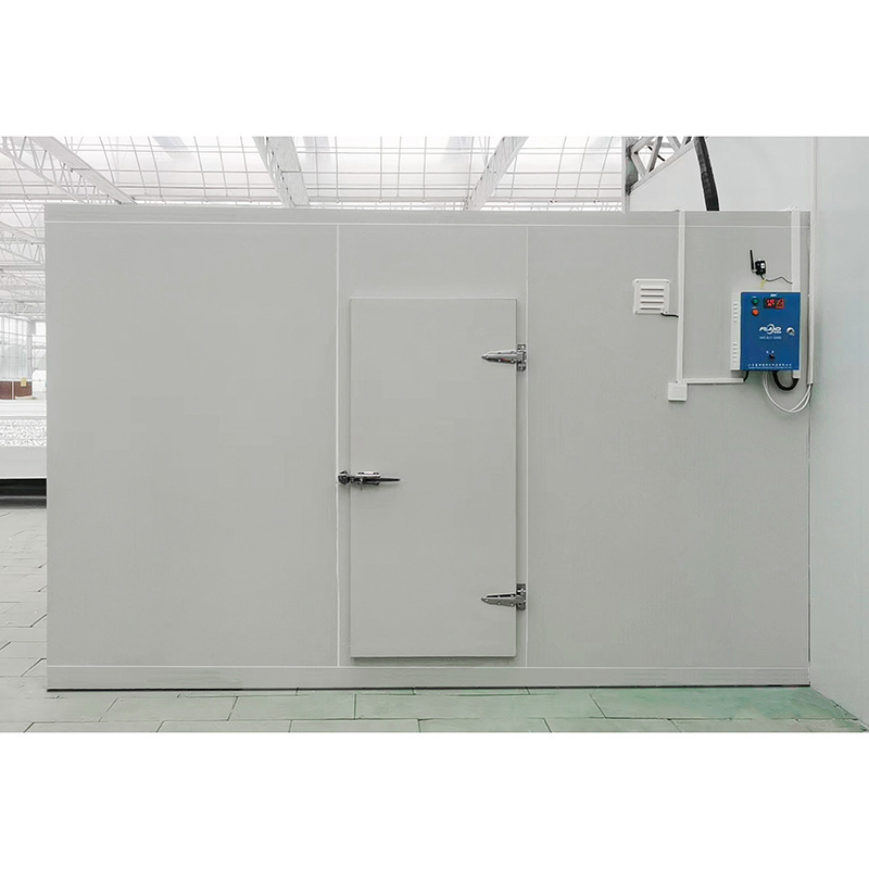 Commercial 20ft container walk in freezer cold storage chambre froide unit blast refrigeration for meat fish vegetables