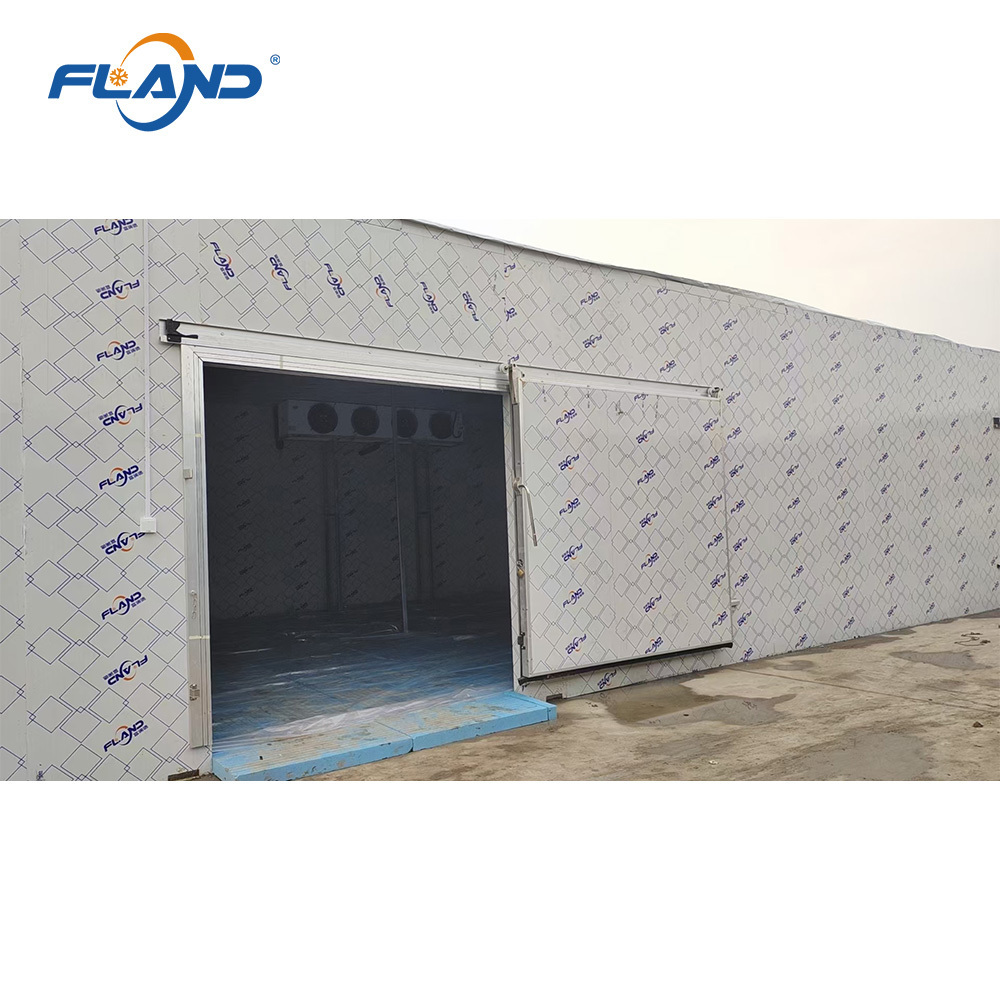 Walkin Freezer Low Temperature Refrigeration Manufacturer Walk Cold Fish Storage Chiller for Seafood Meat