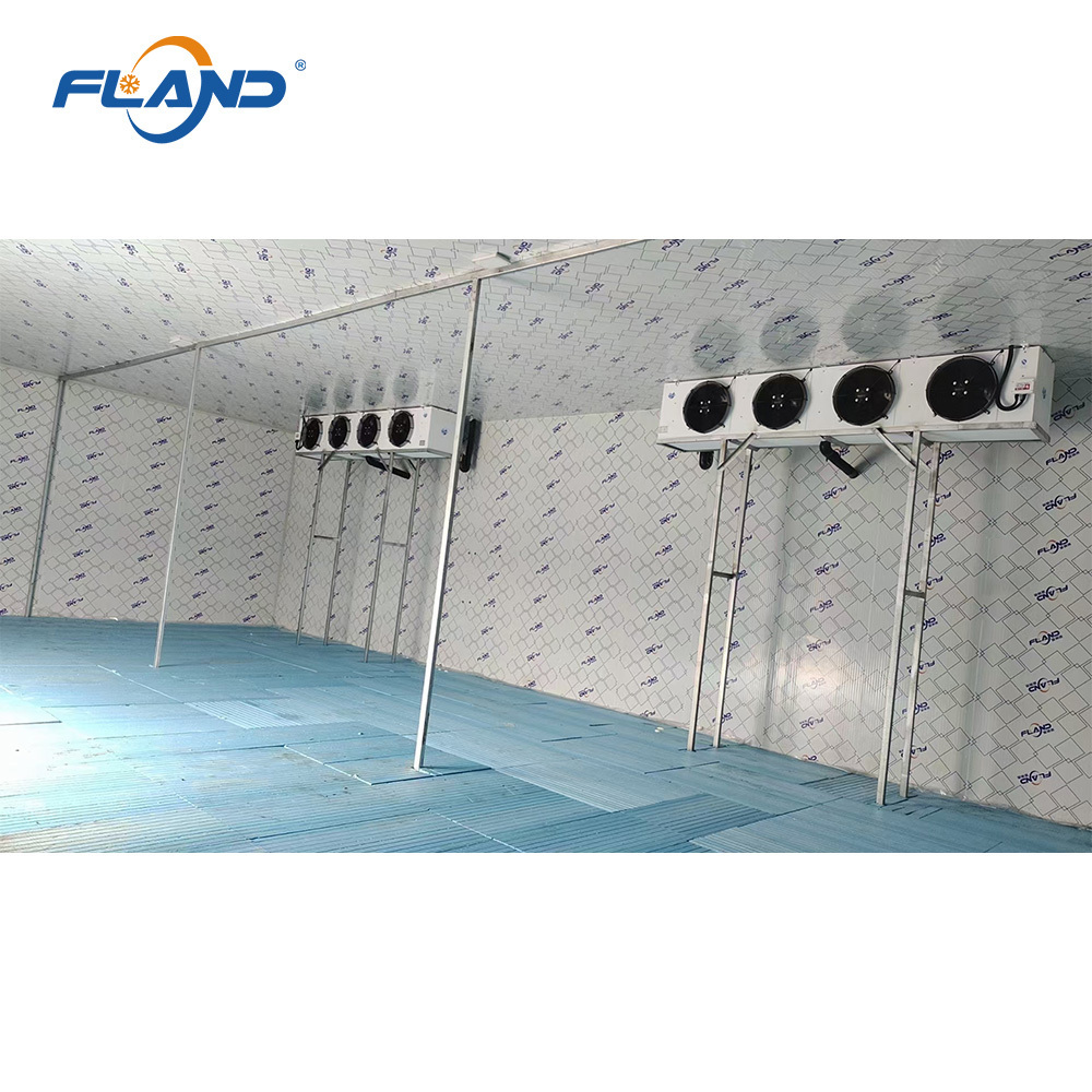 2024 Fland Hot-Selling Walk-In Freezer Integrated Mobile Low-Temperature Cold Storage -70~-50 Degrees Blast Freezer