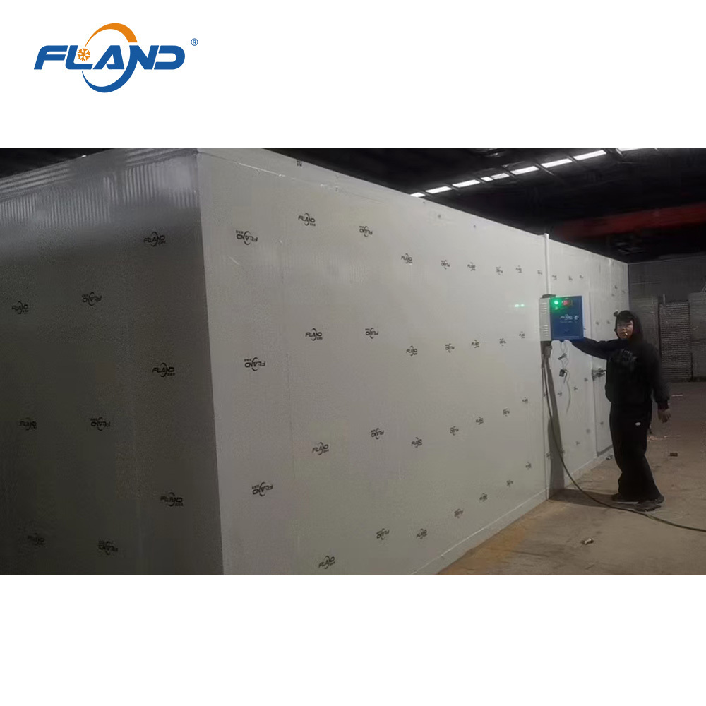 2024 Fland Hot-Selling Walk-In Freezer Integrated Mobile Low-Temperature Cold Storage -70~-50 Degrees Blast Freezer