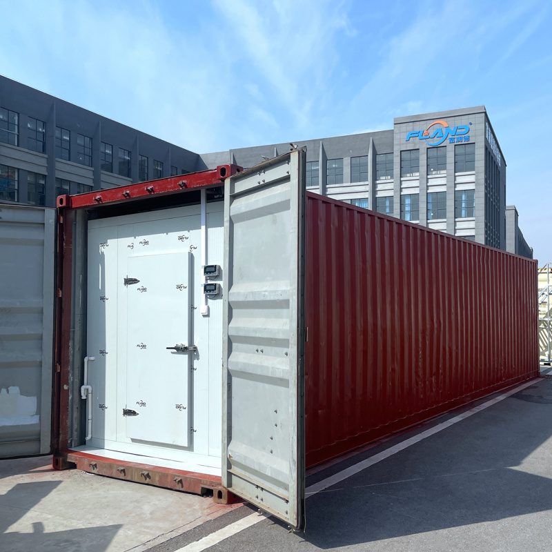 Refrigerated Freezer 20ft 40ft Reefer Container Price for Sale Container Cold Room