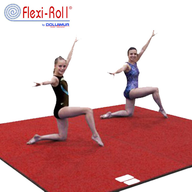 Dollamur & Flexi-Roll High Quality Foam Wall Padding for Sports Training Wall Pads for Gyms Wall Protecting Mat