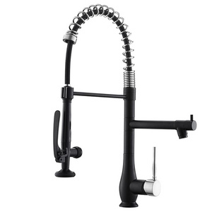 FLG Kitchen Sink Faucet with Sprayer Kitchen Faucet Kitchen Tap Brass Commercial Style Sturdy Spring Single Handle Pull Down