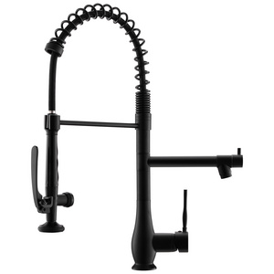 FLG Matte Black Single Handle High Pressure Commercial Double-Headed Stainless Steel Kitchen Sink Faucet with Pull Down Sprayer