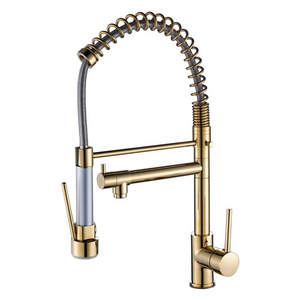 Plating Tap Kitchen Faucet Kitchen Dual Faucet Brass Ceramic Polished Bronze Luxury Modern Contemporary Watermark Pull Down Gold