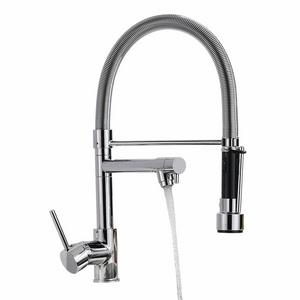 Chrom plating Luxury Single Hole Pull down Spring Sprayer Dual Spout Kitchen pull down faucet faucet