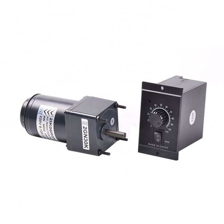 Small Single Phase 110V 220V 380v 60W  100w 180w 200w 220w 300w 10W 50Hz 60Hz Electric dc Ac Gear Motor With Speed Controller