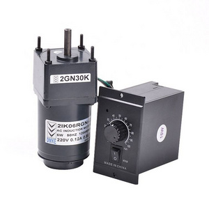 Small Single Phase 110V 220V 380v 60W  100w 180w 200w 220w 300w 10W 50Hz 60Hz Electric dc Ac Gear Motor With Speed Controller