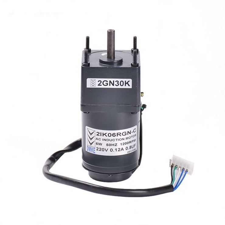 Small Single Phase 110V 220V 380v 60W  100w 180w 200w 220w 300w 10W 50Hz 60Hz Electric dc Ac Gear Motor With Speed Controller