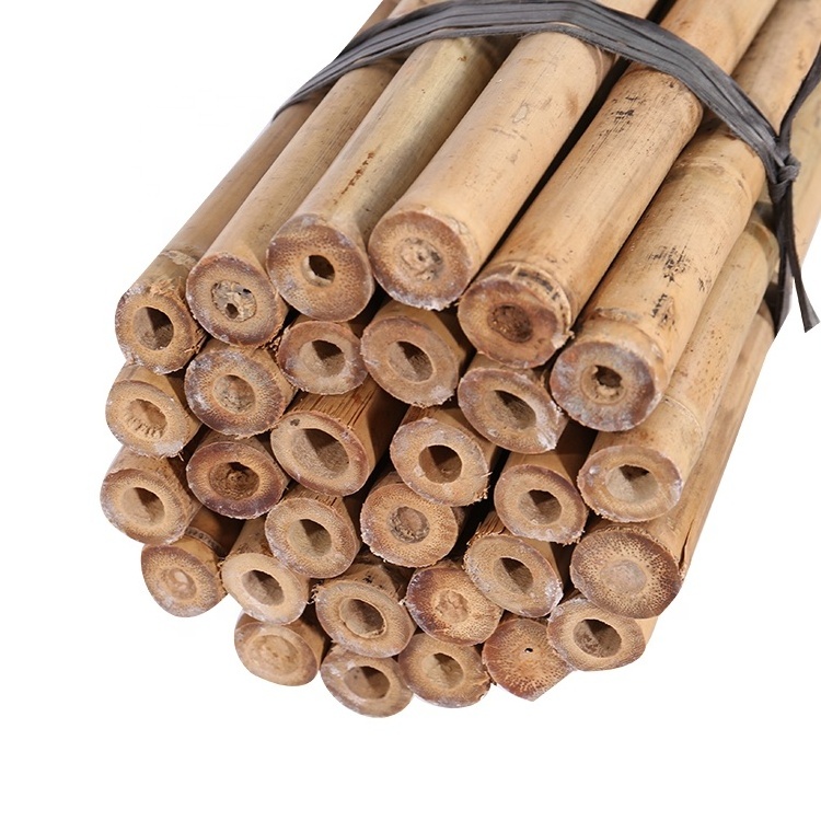 bamboo poles 26-28mmx295mm for tree support