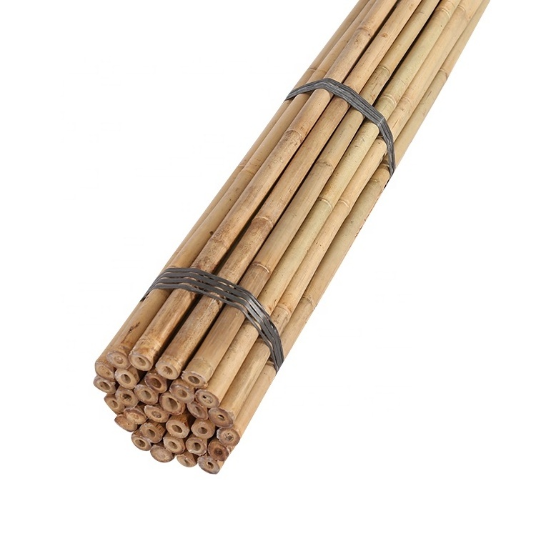 bamboo poles 26-28mmx295mm for tree support