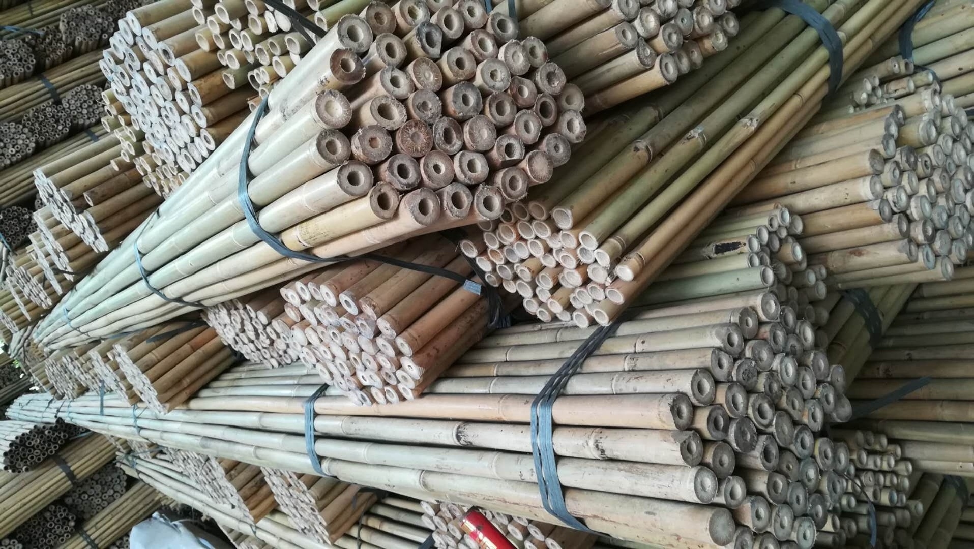 bamboo poles 26-28mmx295mm for tree support