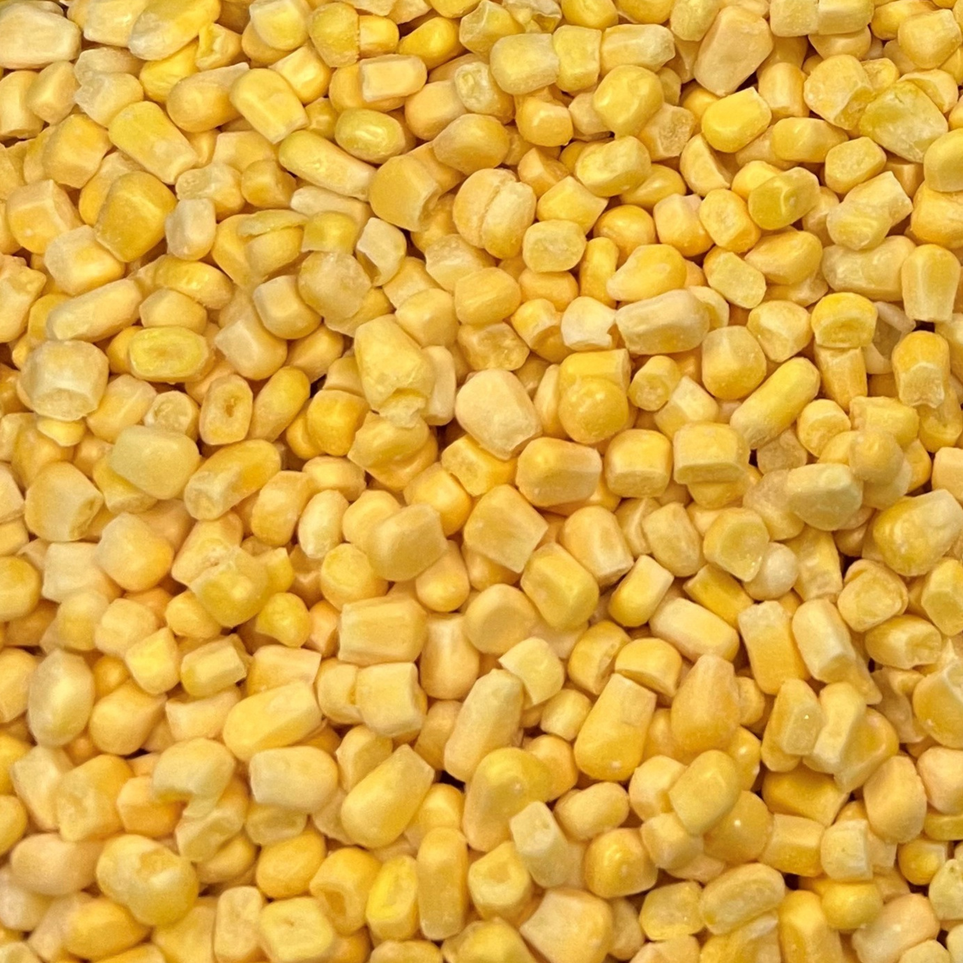 Bulk Super Sweet IQF Frozen Kernel Corn