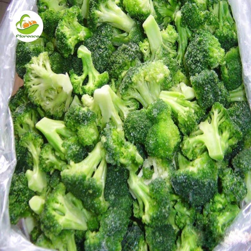 BRC HACCP HALAL Certificate High quality  hot selling preserved vegetables frozen broccoli floret  frozen Broccoli