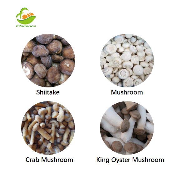 Frozen Shiitake Mushrooms IQF Oyster Mushrooms