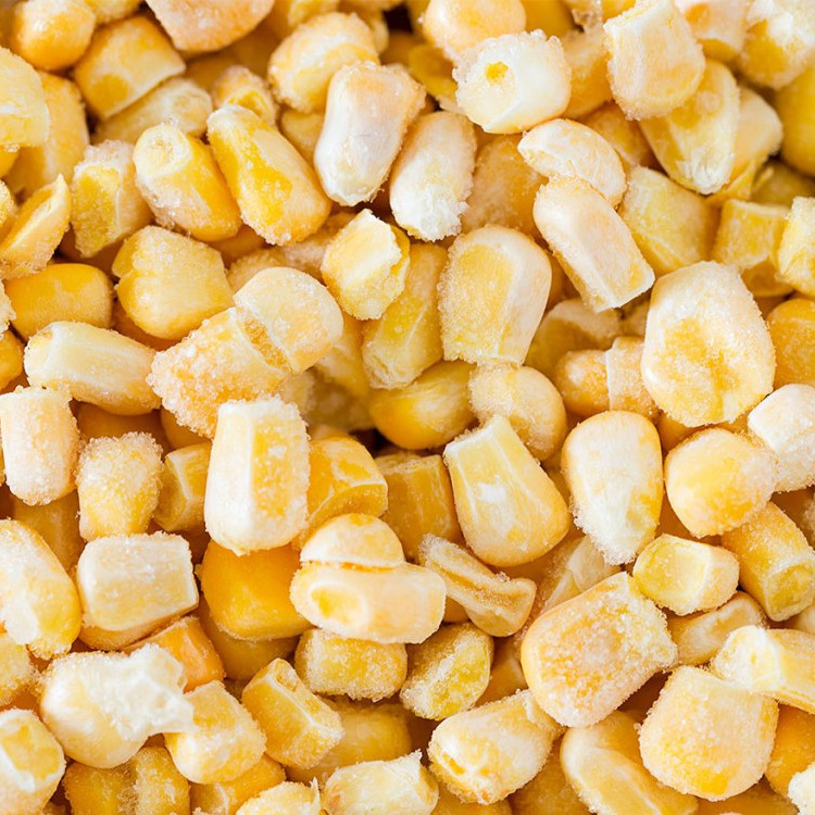 Hot Sale Factory Price Frozen Corn Whole Kernels White Corn China Sweet Corn Cob Cooking IQF Maize