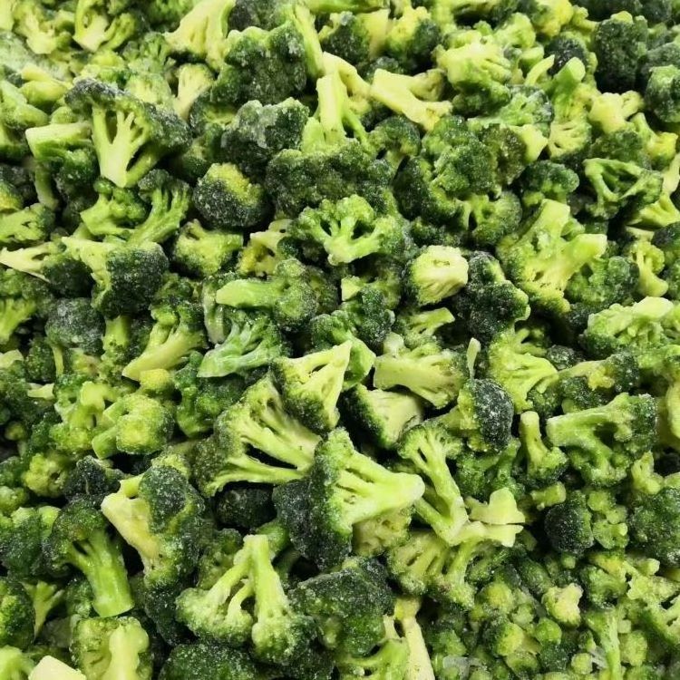 BRC HACCP HALAL Certificate High quality  hot selling preserved vegetables frozen broccoli floret  frozen Broccoli