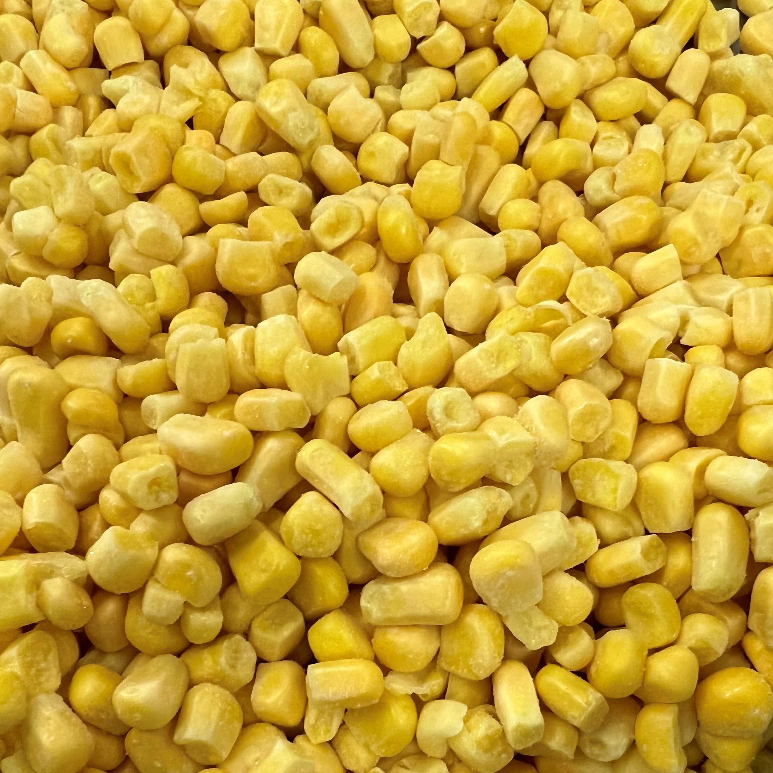 Bulk Super Sweet IQF Frozen Kernel Corn