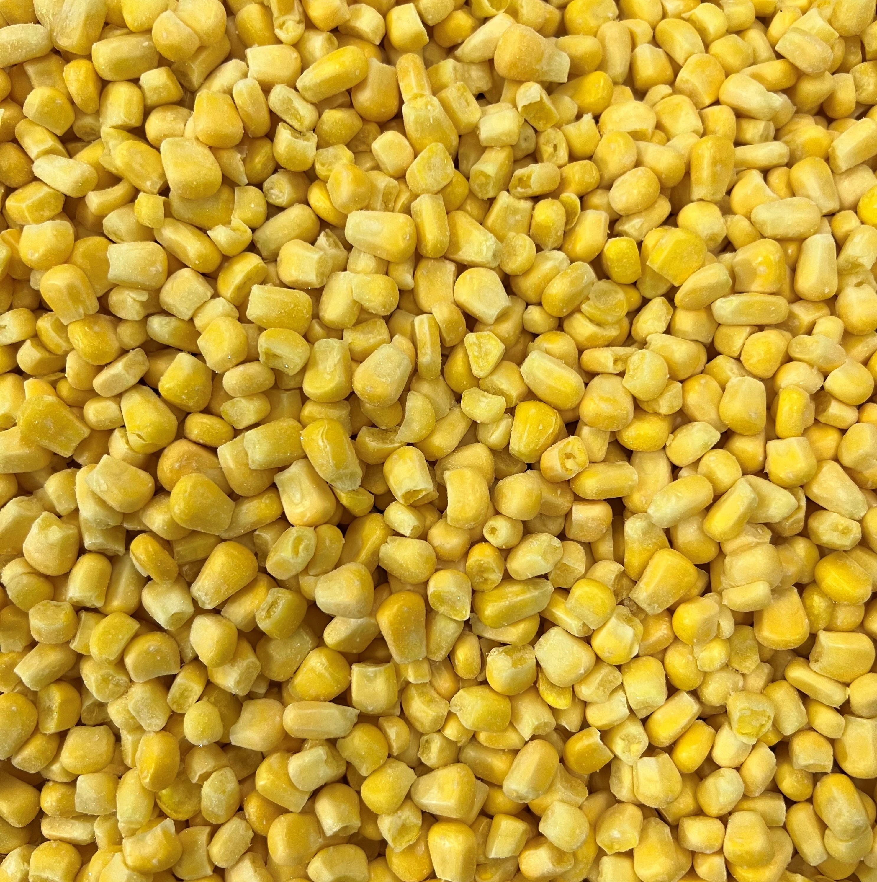 Bulk Super Sweet IQF Frozen Kernel Corn