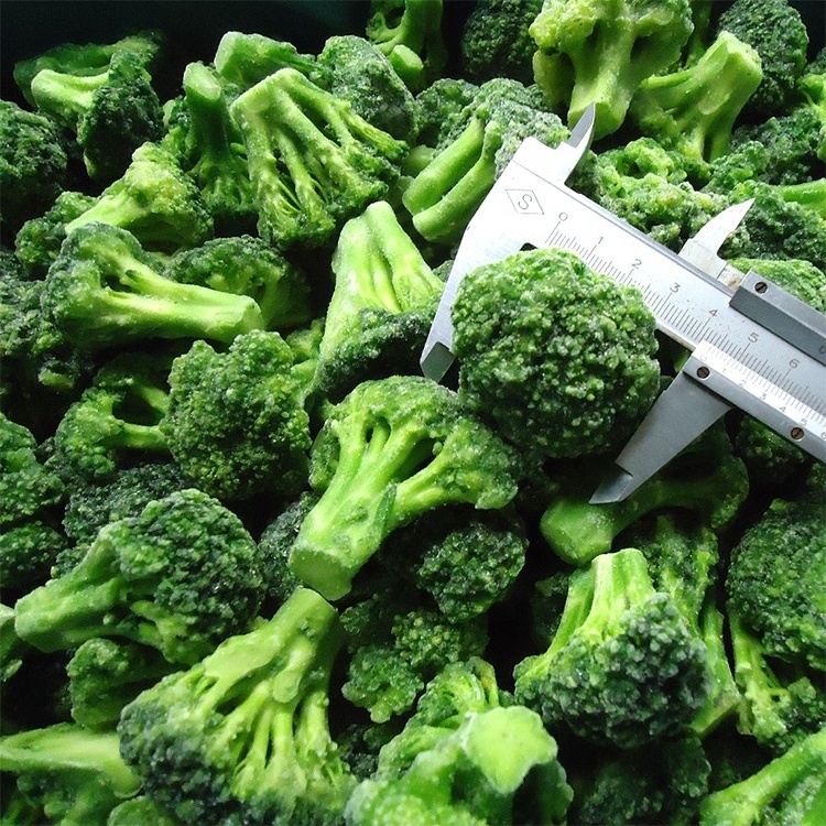 IQF Broccoli Floret Cut IQF Frozen Broccoli