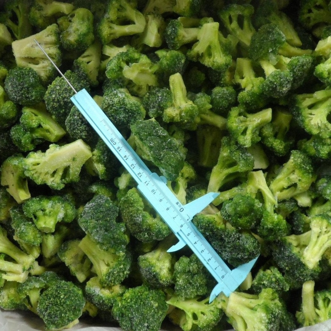 BRC HACCP HALAL Certificate High quality  hot selling preserved vegetables frozen broccoli floret  frozen Broccoli